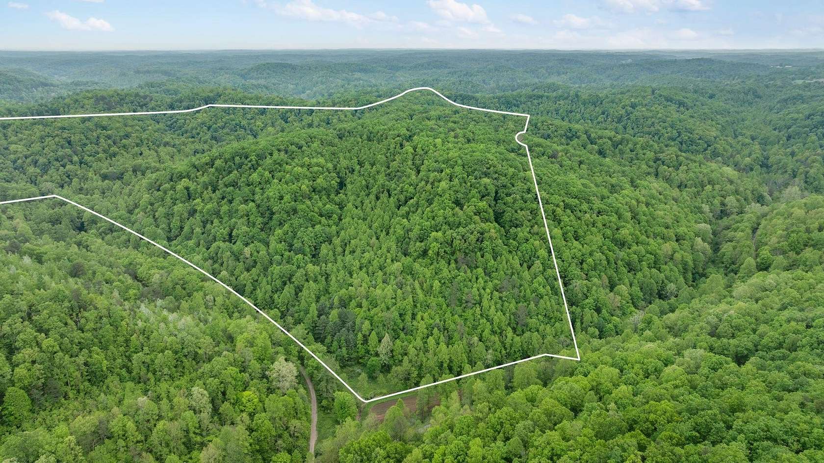 100 Acres of Recreational Land & Farm for Sale in Sandgap, Kentucky