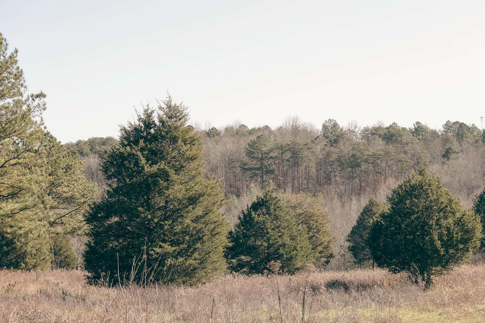 46 Acres of Recreational Land for Sale in Dayton, Tennessee