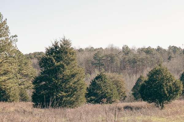 46 Acres of Recreational Land for Sale in Dayton, Tennessee