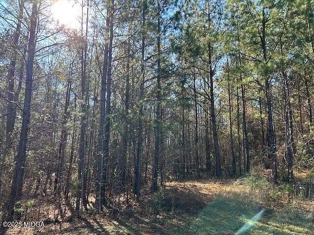 1.13 Acres of Residential Land for Sale in Forsyth, Georgia