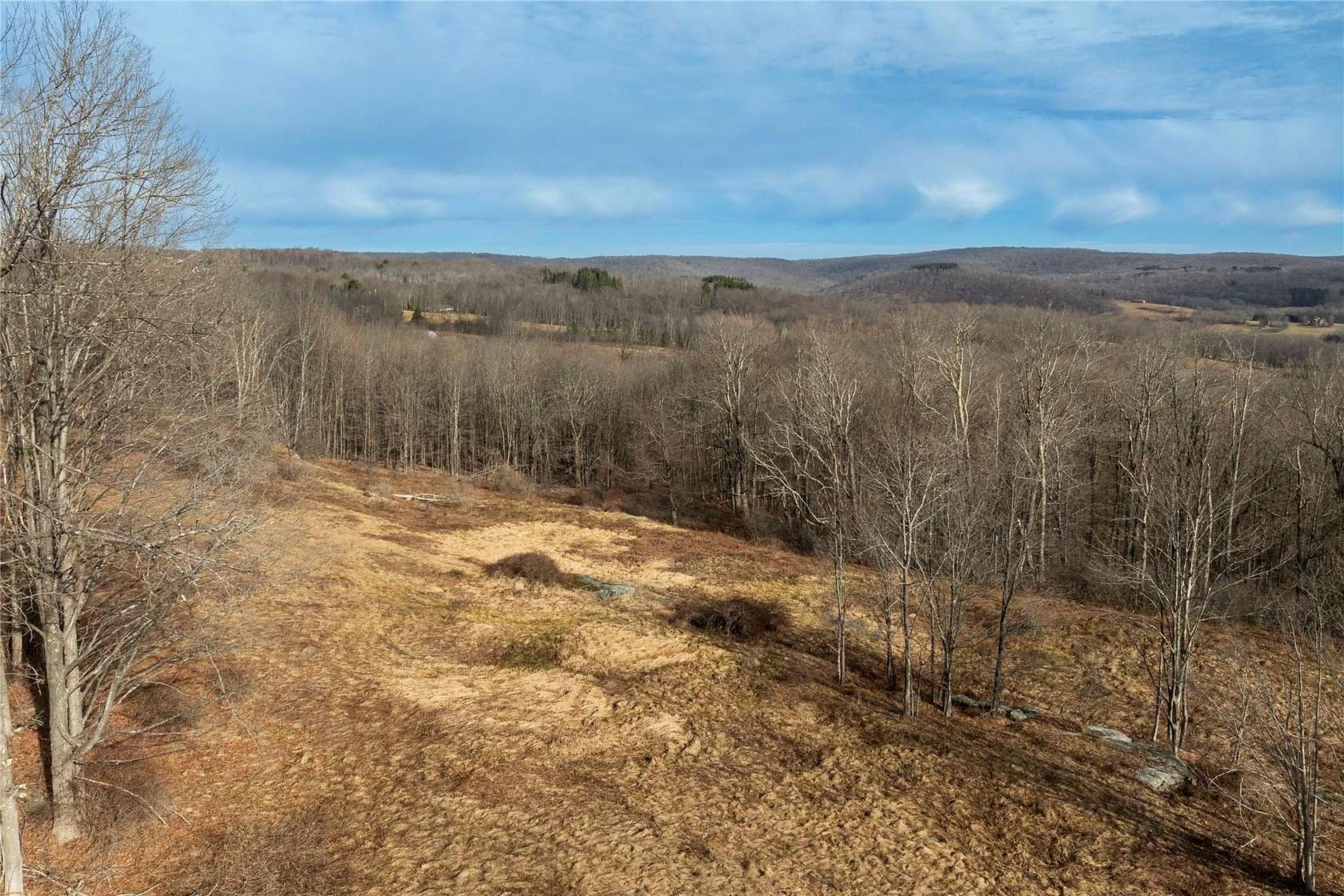 6 Acres of Land for Sale in Livingston Manor, New York