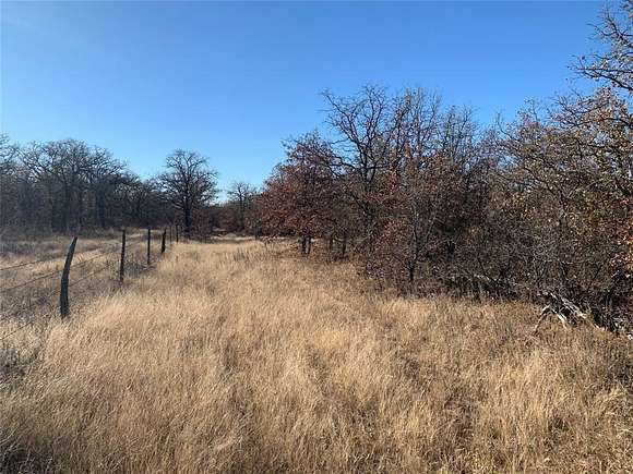 30 Acres of Recreational Land for Sale in Perrin, Texas