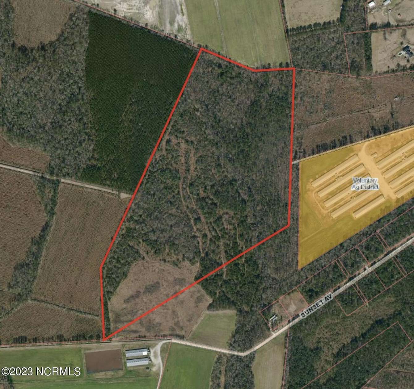 61.5 Acres of Land for Sale in Willard, North Carolina