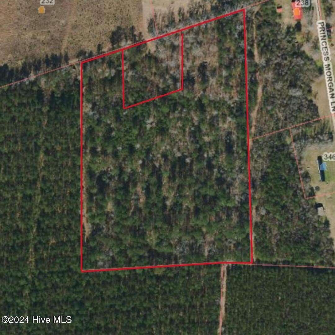 11.5 Acres of Land for Sale in Willard, North Carolina