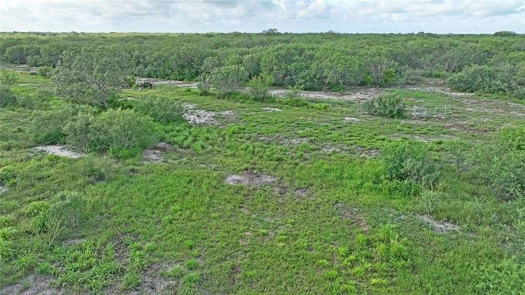 164.59 Acres of Land for Sale in Kingsville, Texas