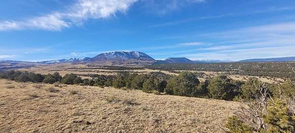 35 Acres of Recreational Land for Sale in Gardner, Colorado