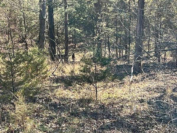 0.2 Acres of Residential Land for Sale in Holiday Island, Arkansas