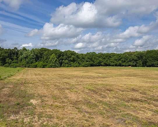 8 Acres of Residential Land for Sale in Newton, Alabama