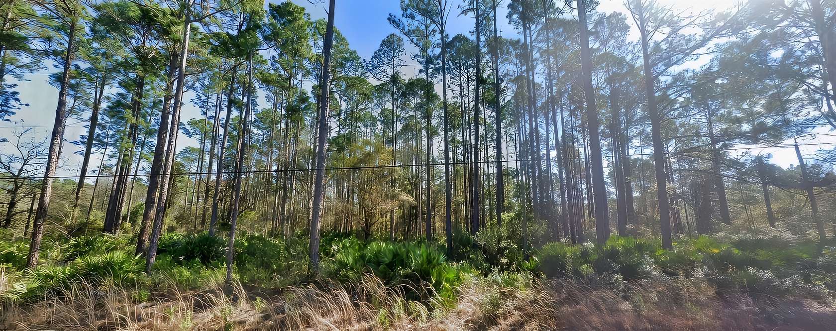 1.14 Acres Of Residential Land For Sale In Hastings, Florida - Landsearch