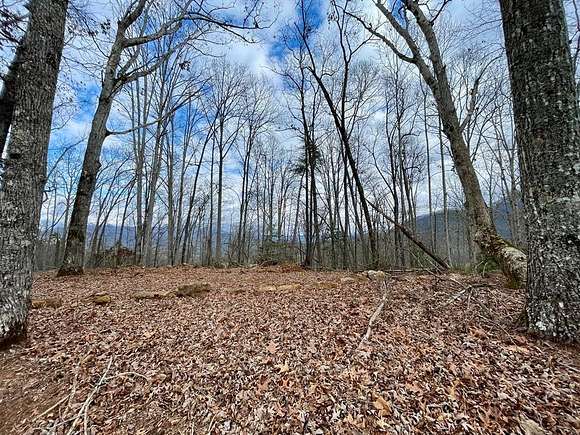 2.74 Acres of Residential Land for Sale in Hayesville, North Carolina