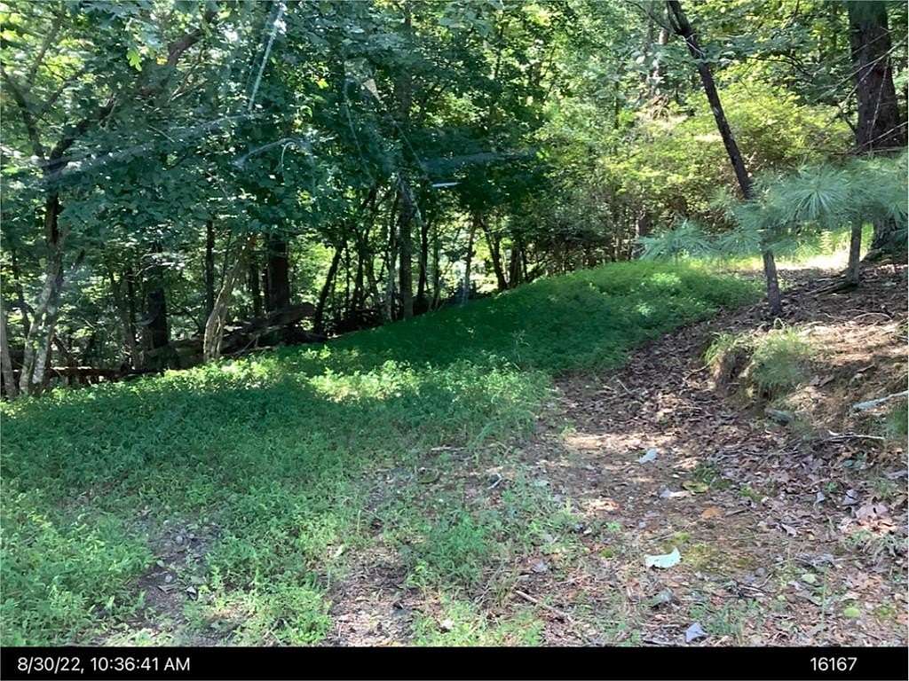 0.57 Acres of Land for Sale in Ellijay, Georgia