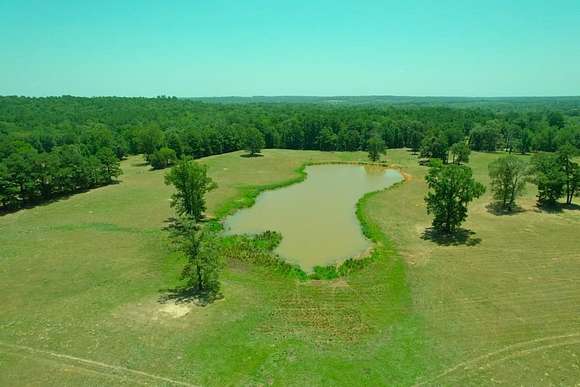 56.3 Acres of Land for Sale in Elkhart, Texas