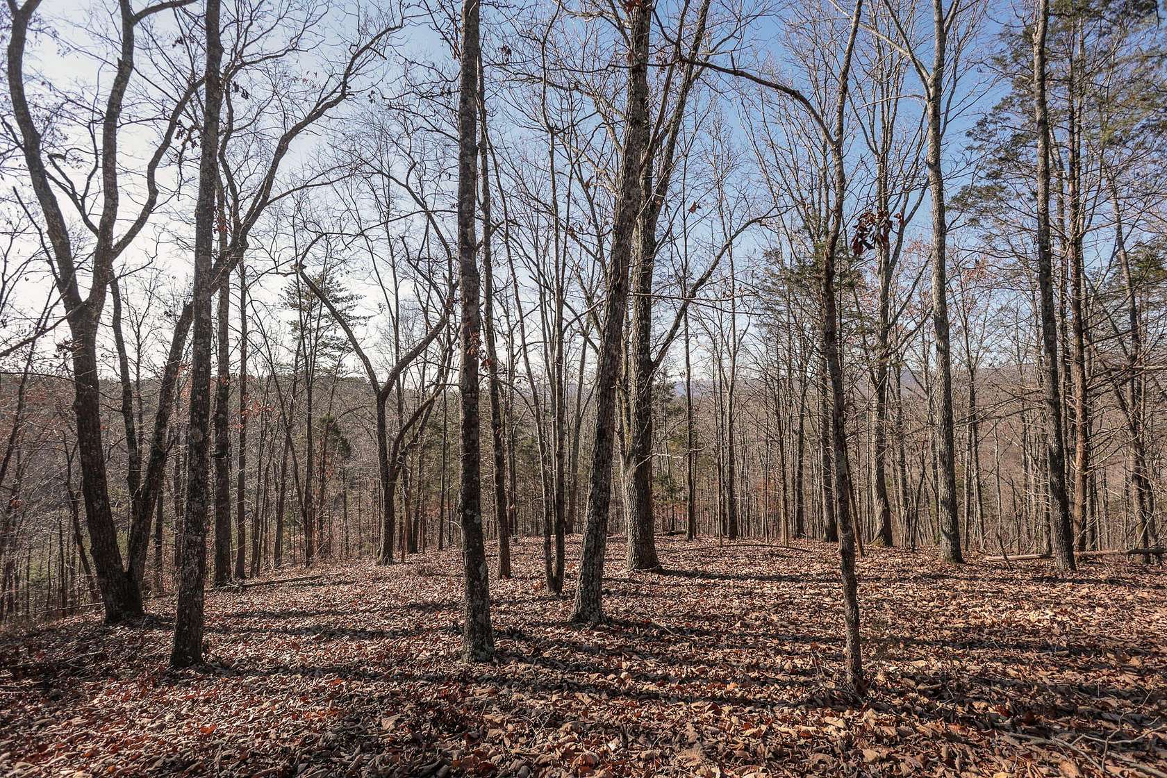 16.82 Acres of Land for Sale in Dayton, Tennessee