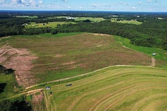 179 Acres of Agricultural Land for Sale in Brundidge, Alabama