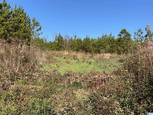 17 Acres of Commercial Land for Sale in Wilsonville, Alabama