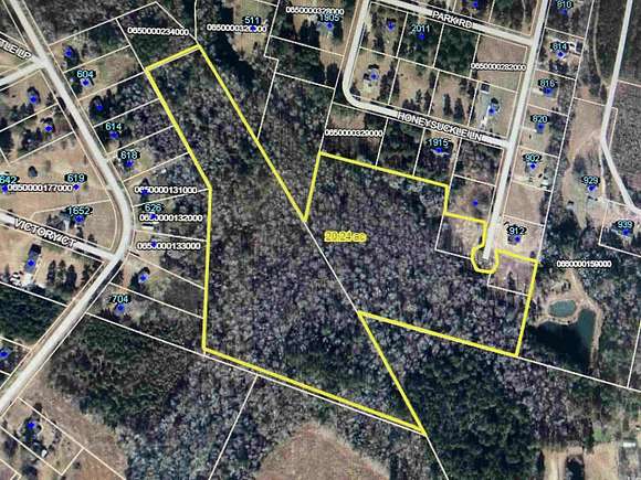 21.97 Acres of Recreational Land for Sale in Marion, South Carolina