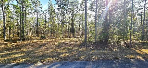 1.01 Acres of Residential Land for Sale in Dunnellon, Florida