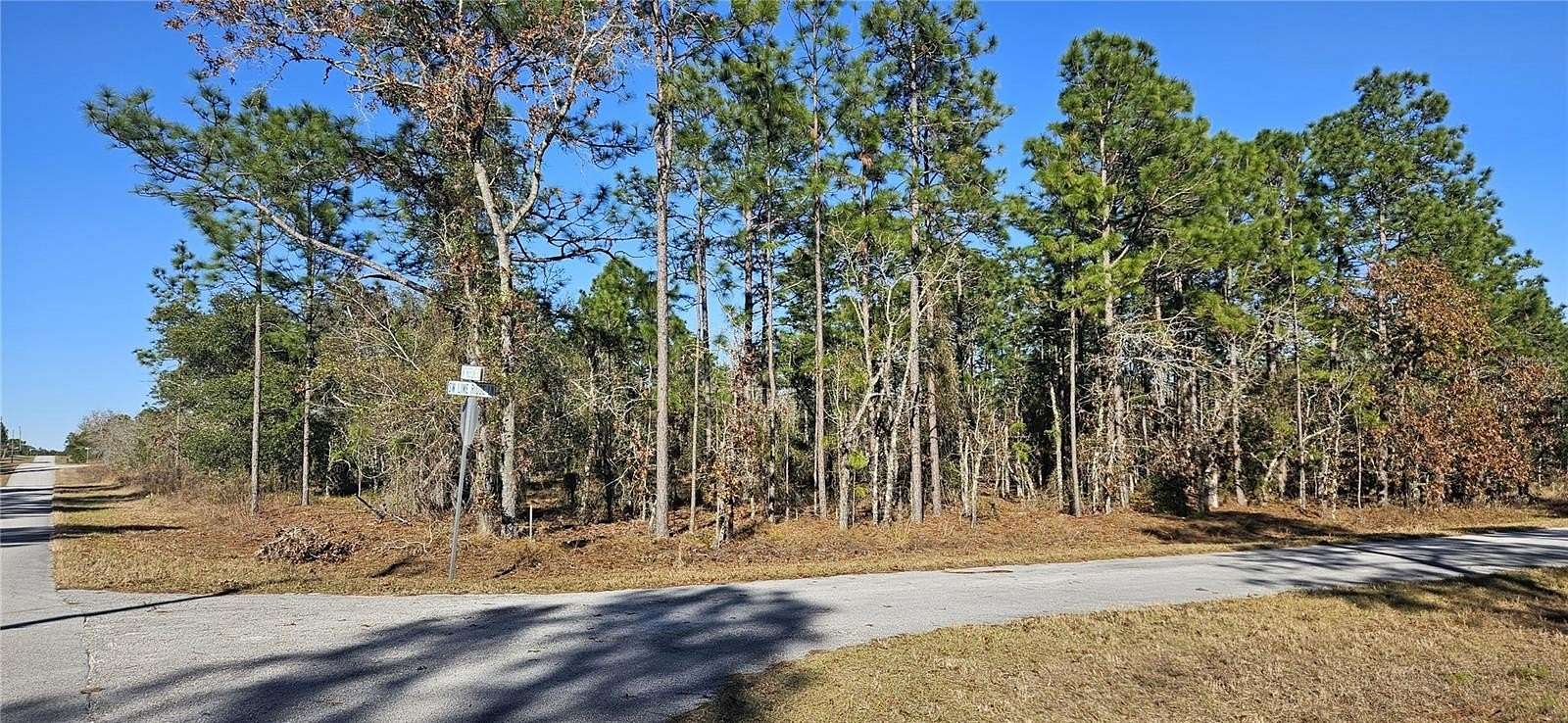 0.99 Acres of Residential Land for Sale in Dunnellon, Florida