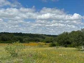 41 Acres of Land for Sale in Brownwood, Texas