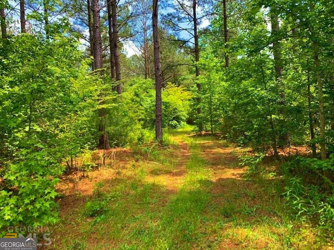 5 Acres of Residential Land for Sale in Monticello, Georgia