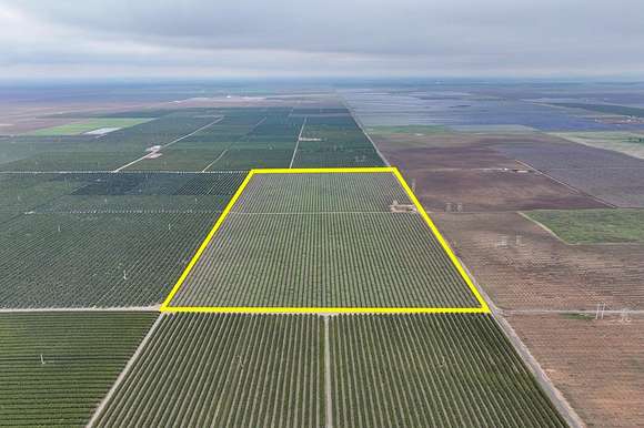 78.7 Acres of Agricultural Land for Sale in Delano, California