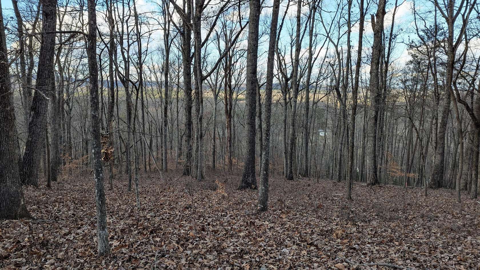 5 Acres of Residential Land for Sale in Cleveland, Tennessee