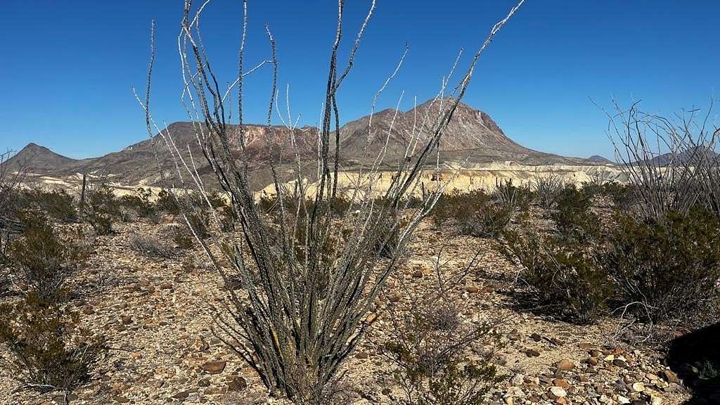 20 Acres of Land for Sale in Terlingua, Texas