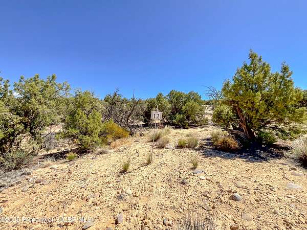 1.1 Acres of Residential Land for Sale in Farmington, New Mexico