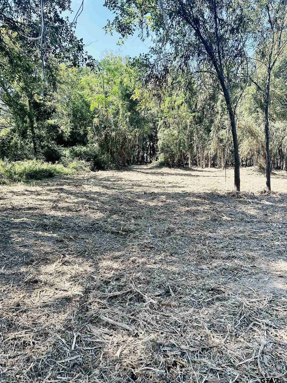 1 Acre of Residential Land for Sale in Troup, Texas