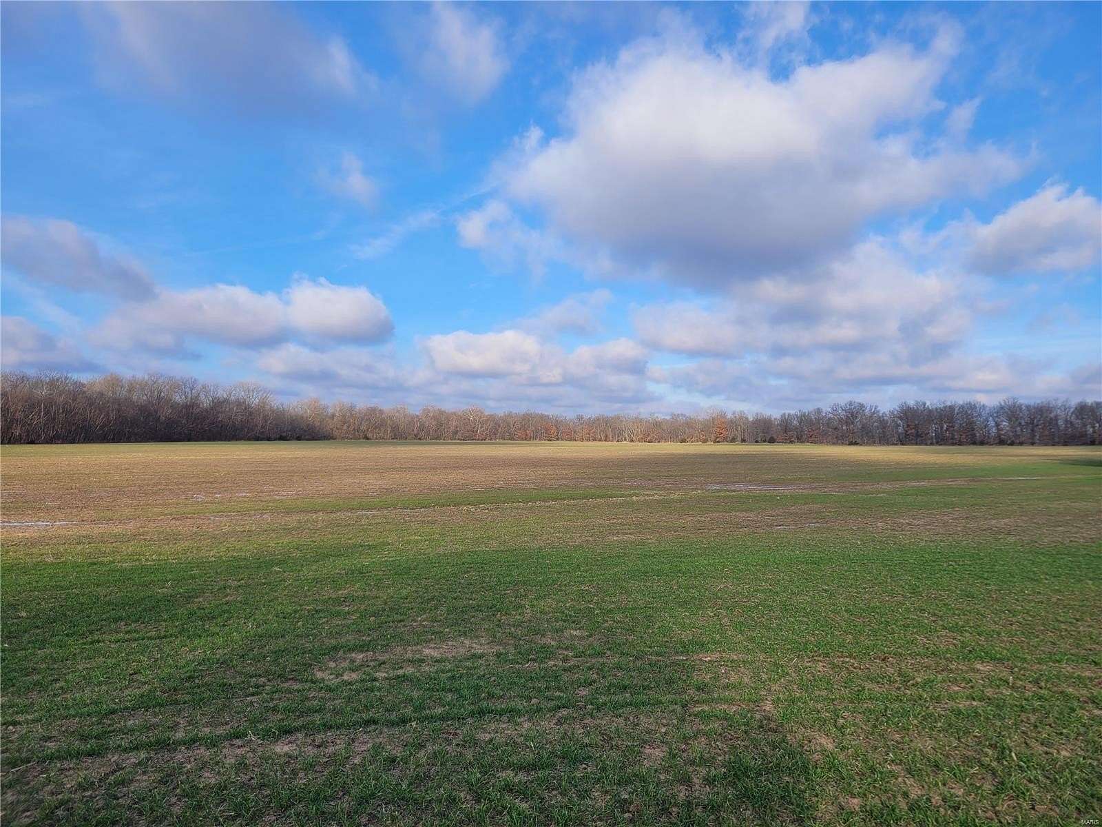 81.8 Acres of Agricultural Land for Sale in Middletown, Missouri