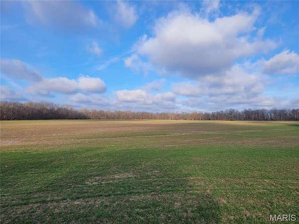 81.8 Acres of Agricultural Land for Sale in Middletown, Missouri