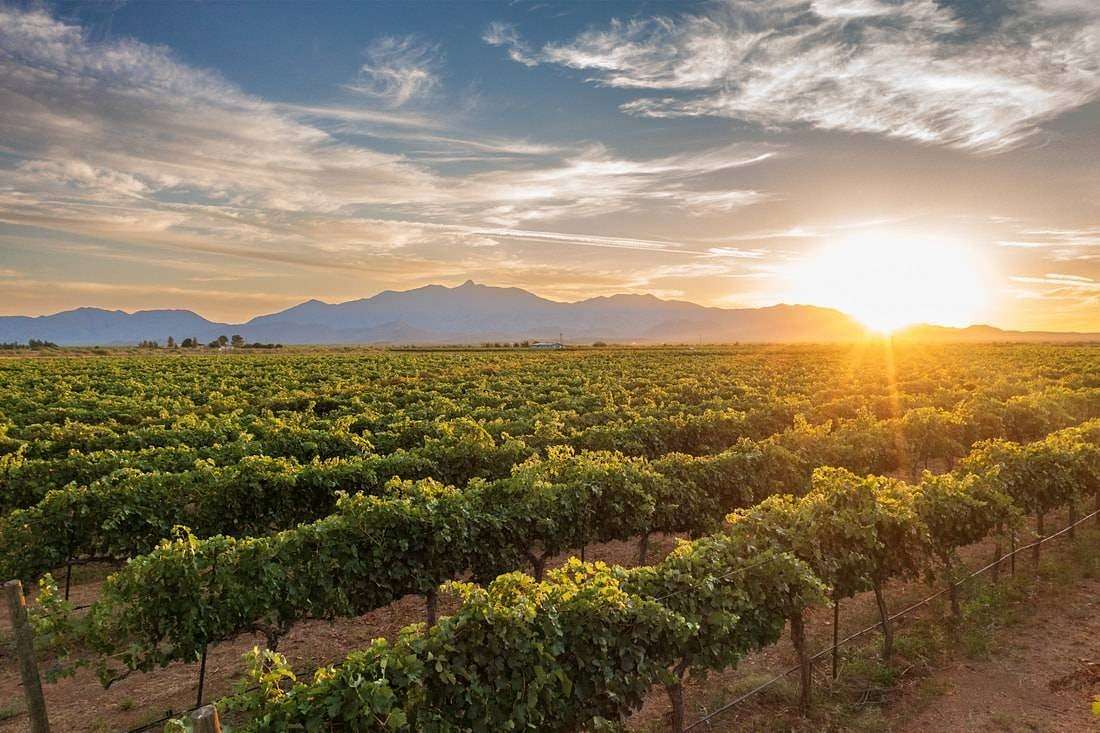 79.2 Acres of Improved Land for Sale in Willcox, Arizona