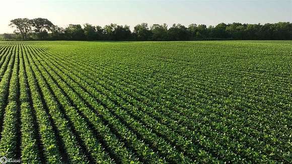 70 Acres of Recreational Land & Farm for Sale in Minburn, Iowa