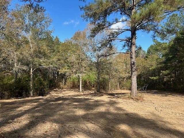 2 Acres of Residential Land for Sale in Summit, Mississippi