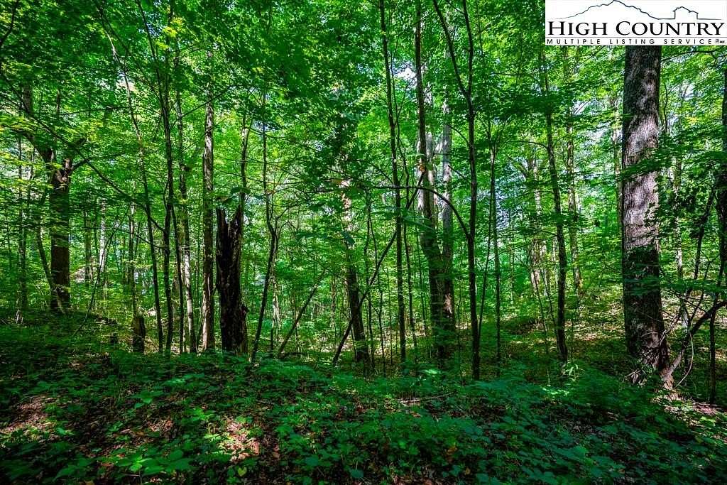 0.49 Acres of Land for Sale in Zionville, North Carolina