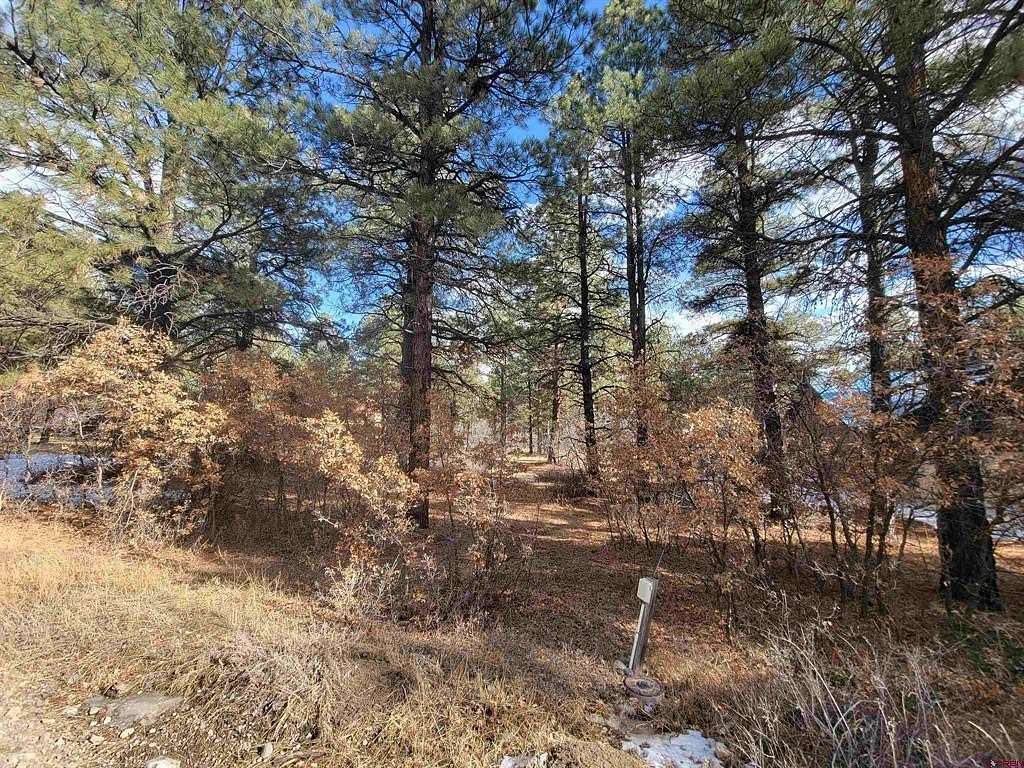 0.34 Acres of Residential Land for Sale in Pagosa Springs, Colorado