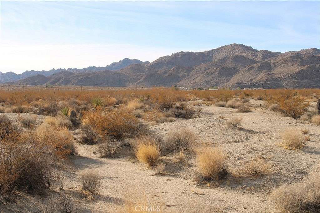 5 Acres of Residential Land for Sale in Twentynine Palms, California