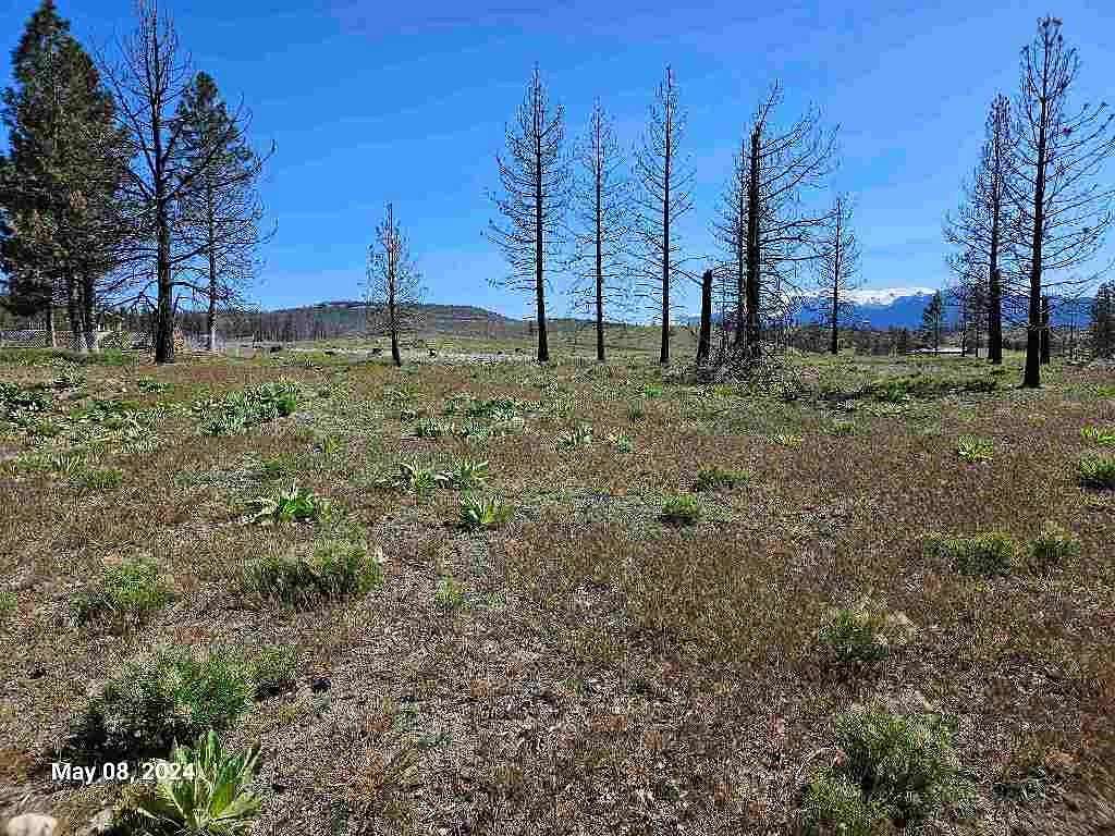 0.26 Acres of Residential Land for Sale in Weed, California