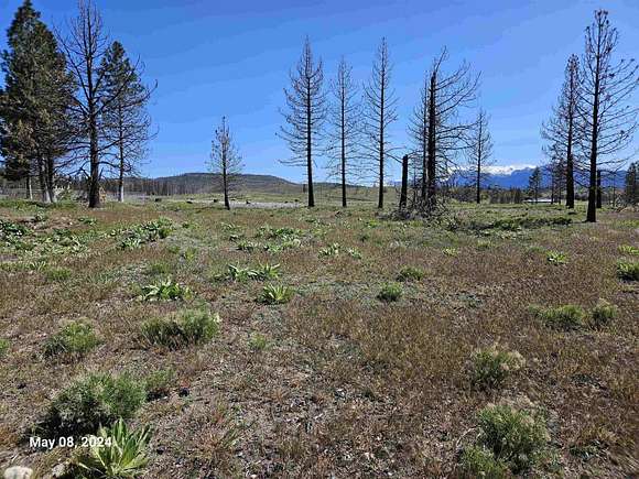 0.26 Acres of Residential Land for Sale in Weed, California