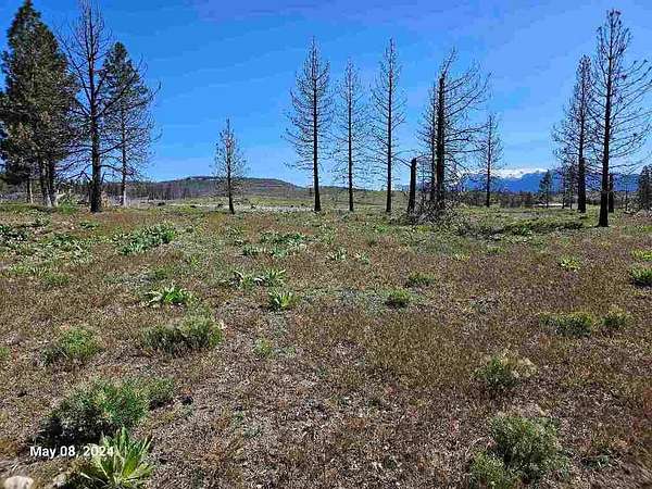0.26 Acres of Residential Land for Sale in Weed, California