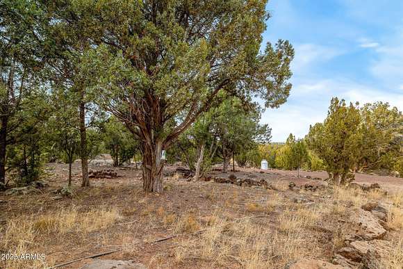 0.23 Acres of Residential Land for Sale in Show Low, Arizona