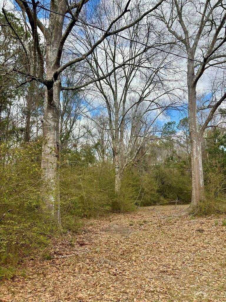 7.2 Acres of Residential Land for Sale in Picayune, Mississippi