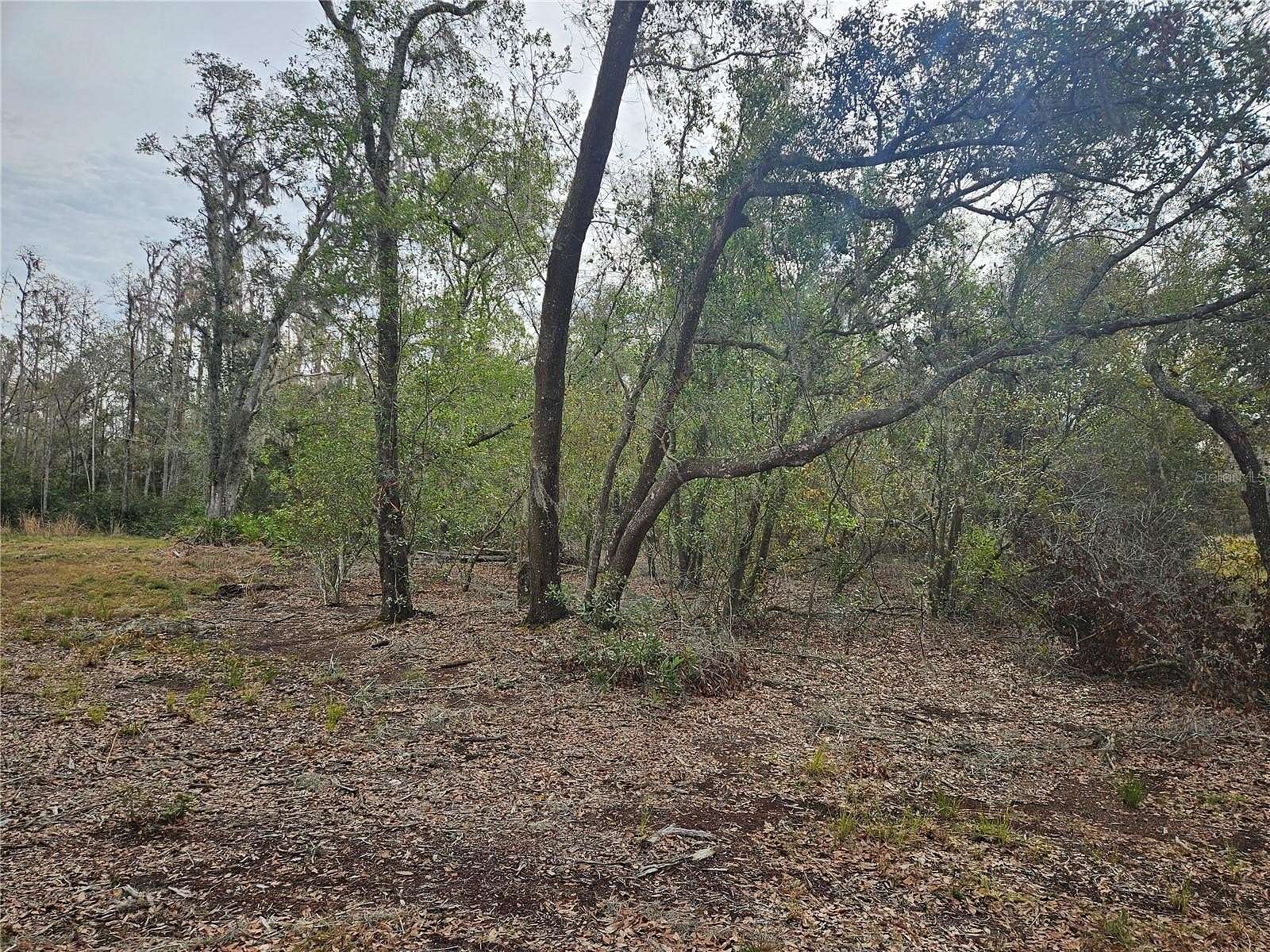 1 Acre of Residential Land for Sale in Plant City, Florida