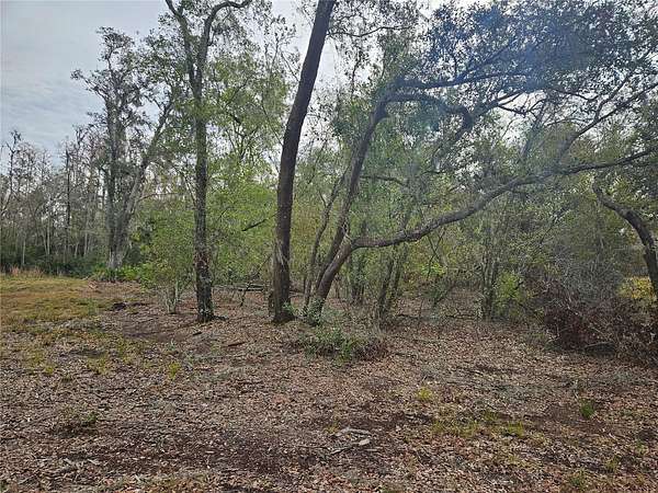 1 Acre of Residential Land for Sale in Plant City, Florida