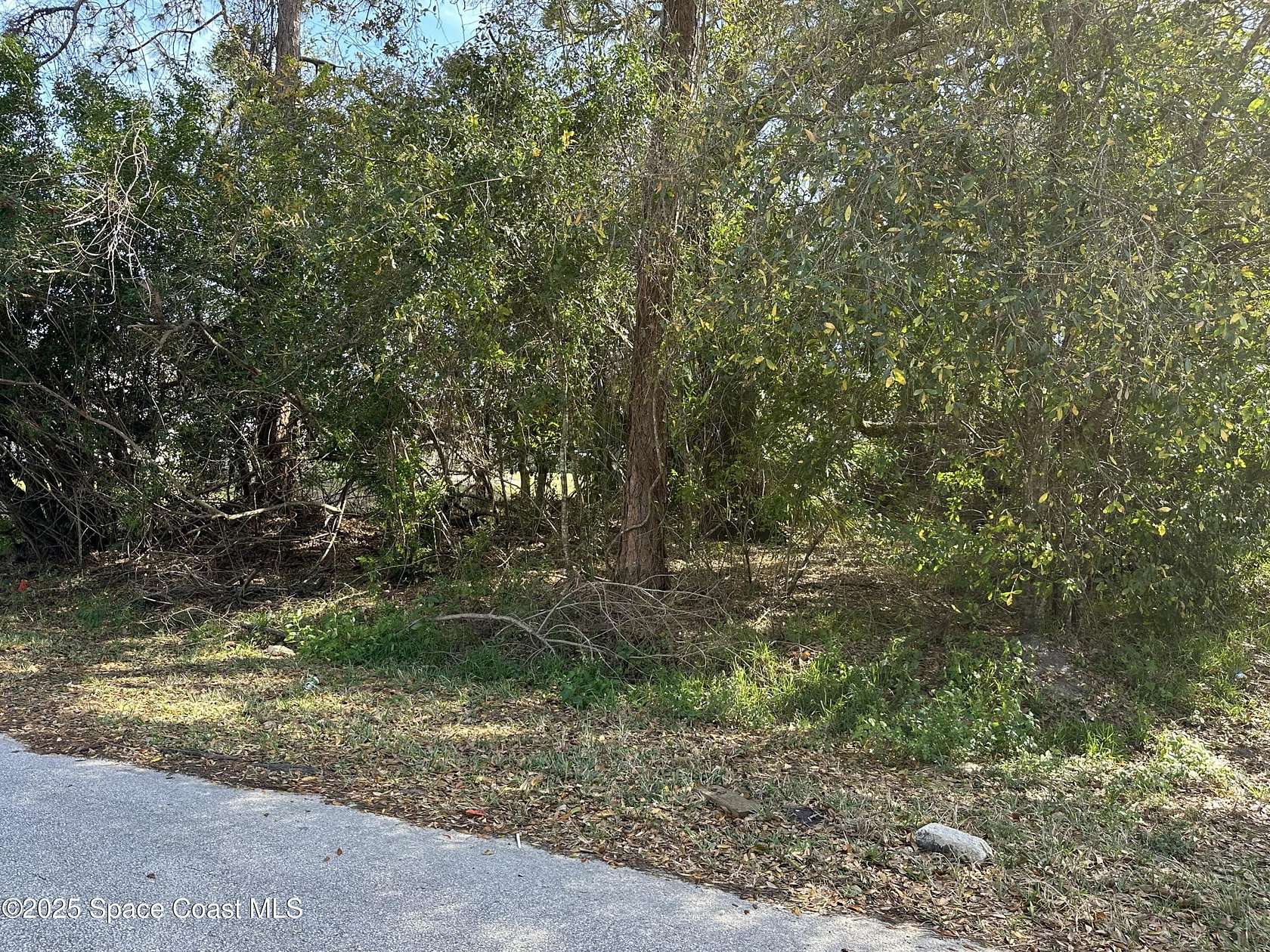 0.23 Acres of Residential Land for Sale in Palm Bay, Florida