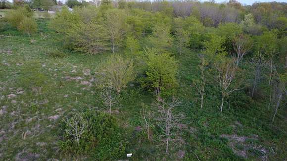 3 Acres of Residential Land for Sale in Clever, Missouri