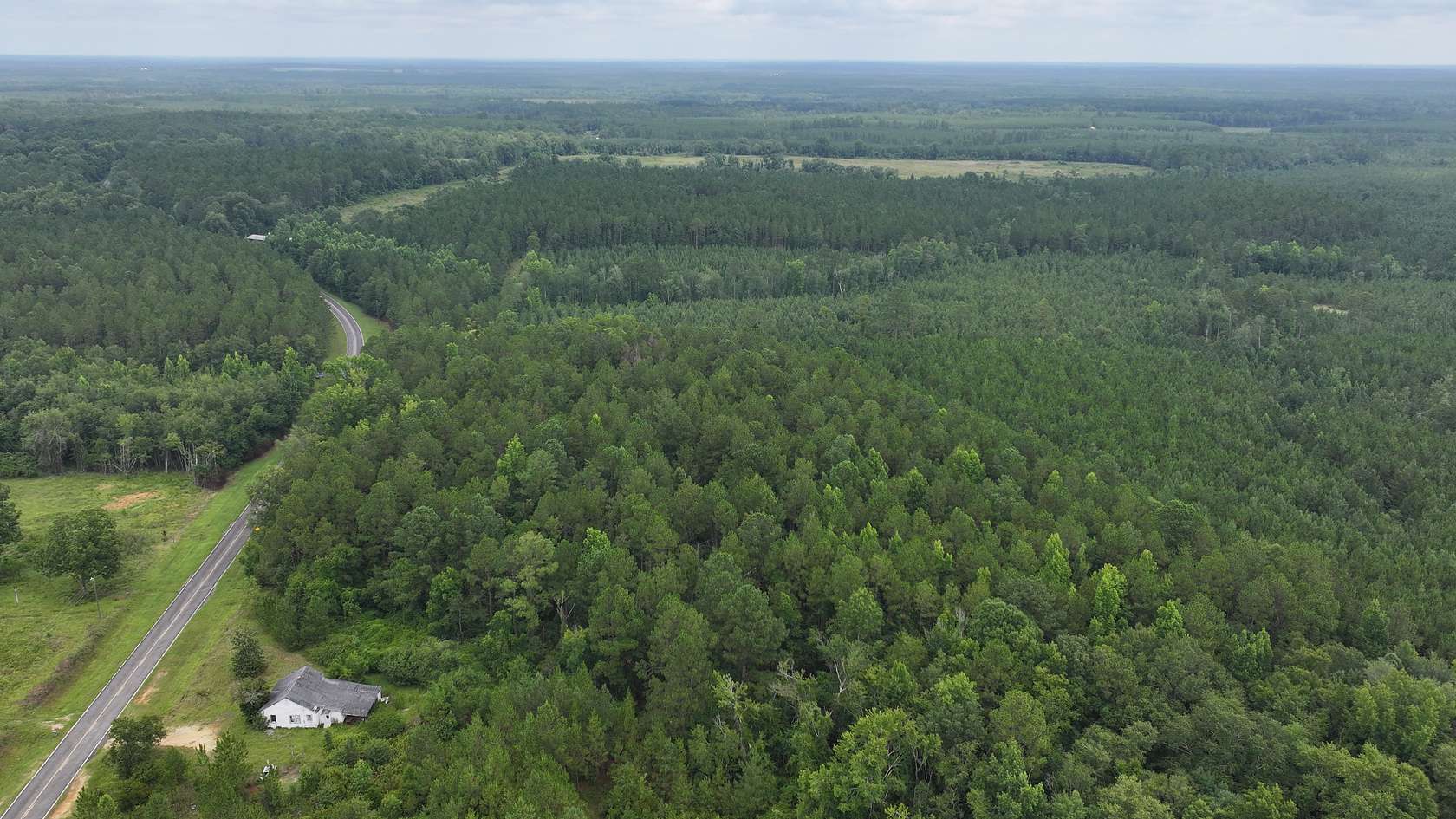 12 Acres of Recreational Land for Sale in Soperton, Georgia