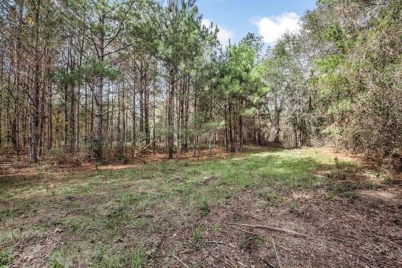 8 Acres of Land for Sale in Brookhaven, Mississippi