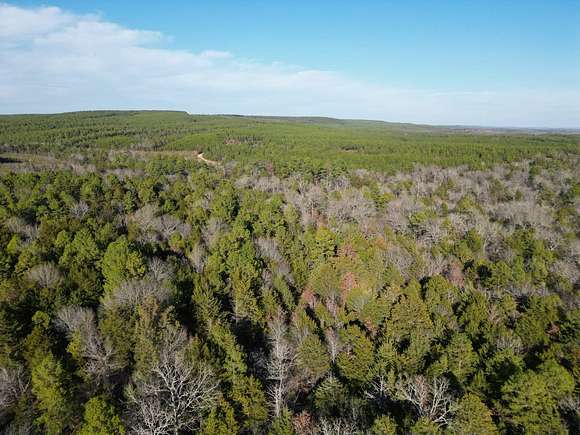 79.8 Acres of Recreational Land & Farm for Sale in Rattan, Oklahoma