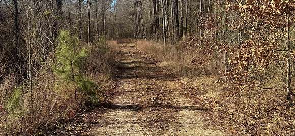 2.1 Acres of Residential Land for Sale in Traskwood, Arkansas